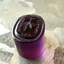 Load image into Gallery viewer, Antique Georgian Intaglio Seal - Grow Don't Change Motto, 1800's Purple Tassie Paste