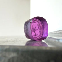 Load image into Gallery viewer, Antique Georgian Intaglio Seal - Grow Don't Change Motto, 1800's Purple Tassie Paste