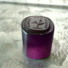 Load image into Gallery viewer, Antique Georgian Intaglio Seal - Grow Don't Change Motto, 1800's Purple Tassie Paste