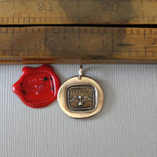 Load image into Gallery viewer, Carpe Diem - Wax Seal Pendant Bronze Jewelry - Seize The Day