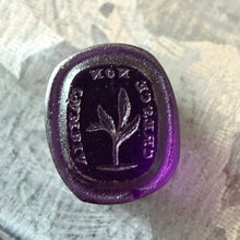 Load image into Gallery viewer, Antique Georgian Intaglio Seal - Grow Don't Change Motto, 1800's Purple Tassie Paste
