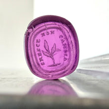 Load image into Gallery viewer, Antique Georgian Intaglio Seal - Grow Don't Change Motto, 1800's Purple Tassie Paste
