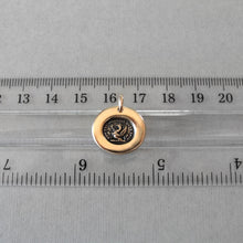 Load image into Gallery viewer, What I Wish Is Not Mortal - Bronze Griffin Wax Seal Necklace Charm
