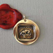 Load image into Gallery viewer, Take Care - Wax Seal Charm Crouching Panther - Be Careful - Antique Bronze Wax Seal Jewelry Pendant
